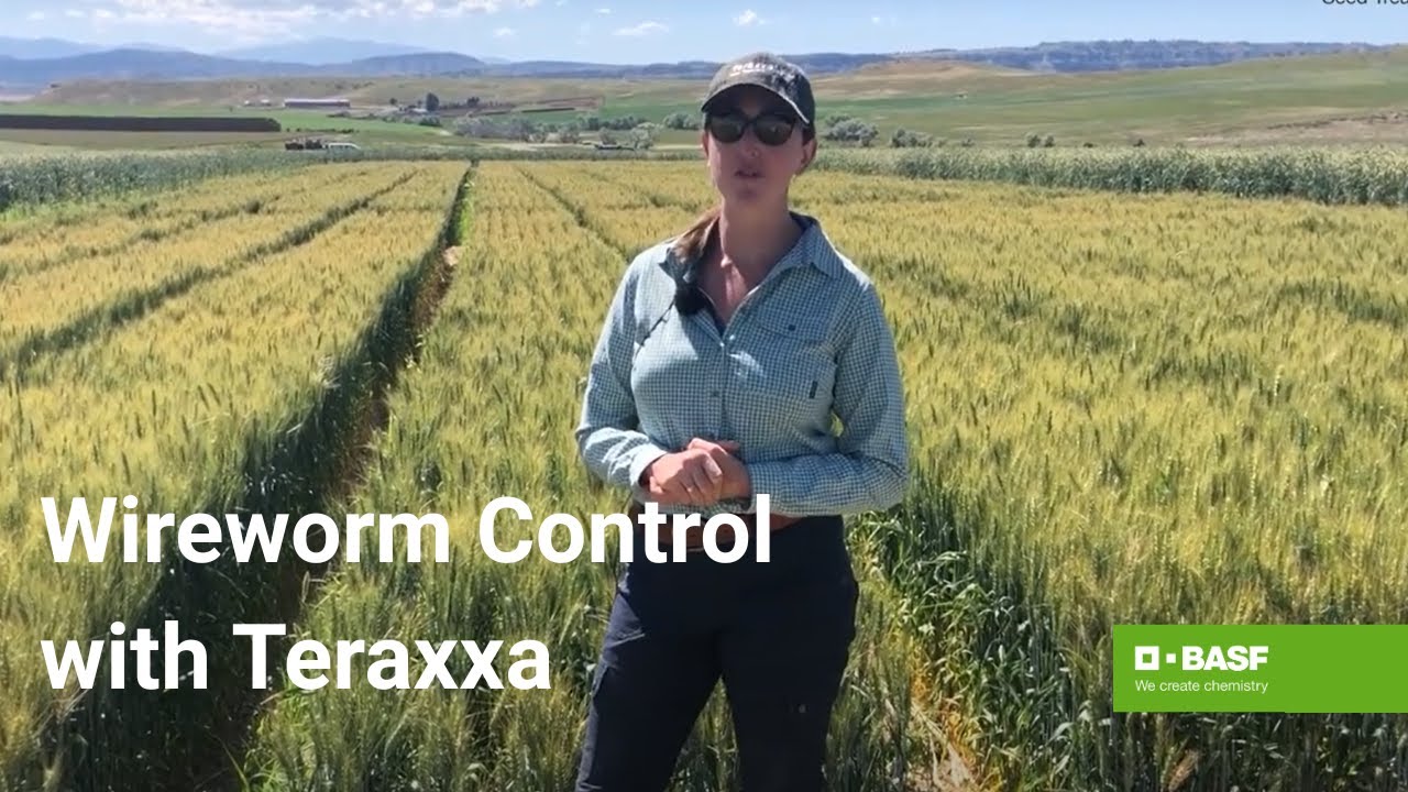 Reddy Anna ID: Comprehensive Guide to the Platform, Its Benefits, and the Reddy Book Club Connection